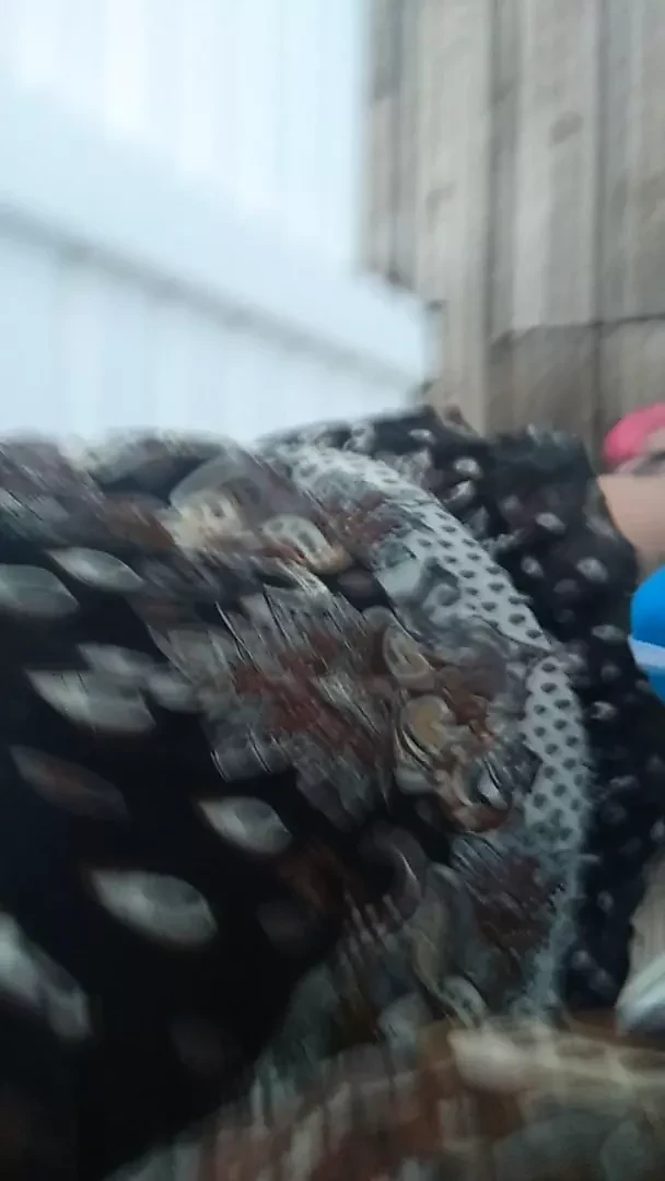 Бабушка в любительском видео