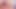 İlk Porno Oyuncu Seçimim