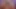 olivia ışıltısı, isabella de laa ve zuzu tatlı ile sizin için 18 vr yılbaşı dörtlü hediyesi – vr porno