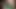 sarışın karısı var oral Seks içinde pov