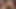 Marco rivera dev vücut cumshot