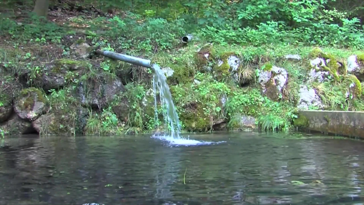 Echtes Paar fickt vor der Kamera, TG