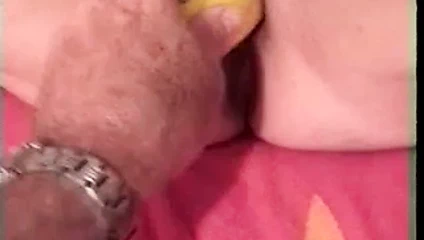 daha fazla kedi oyun