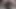 Gizelka test atı doldo