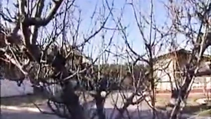 En Familia Un Hogar Muy Caliente. Part3