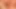 sounding uretral sur le lit tige d10 ejaculation