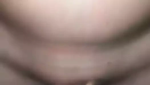 Domuz sarışın esaret