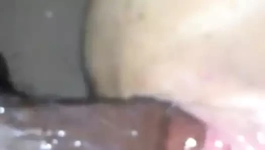 Şişman beyaz ıslak kedi