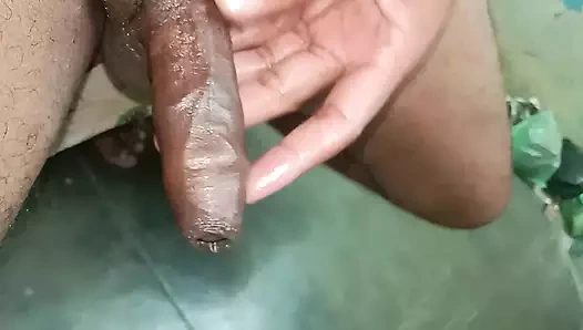 Rajasthani Desi arazisi