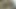Jasmine Byrne