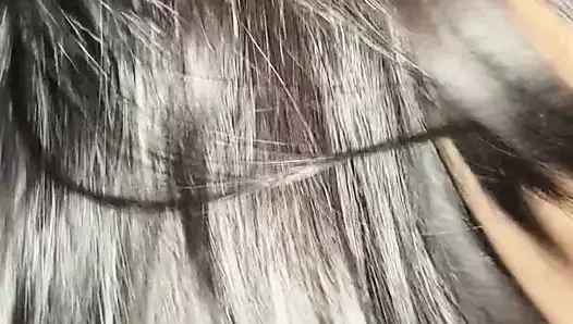 Ma pute qui suce toujours