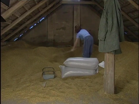 kırsalda vahşi seks - bölüm 2