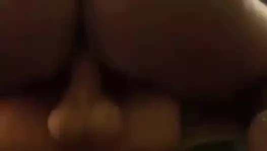 Gövde yarağına biniyor