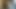 Hint tite lund kedi