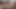 Üvey kızkardeş çatıda fotoğraf çektirmek istedi