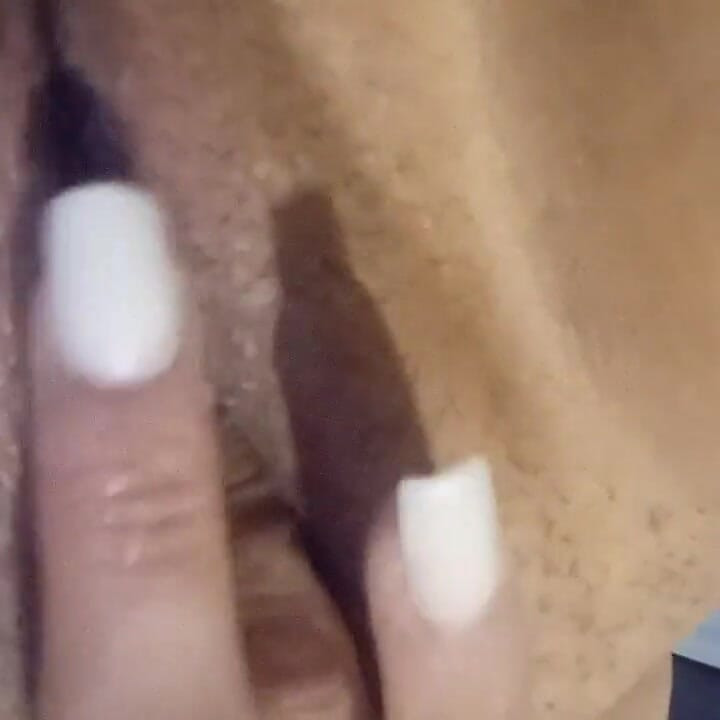 Kedi