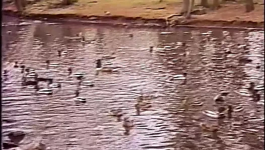 Sekreter patronun kedi şişman yapay penis ile fazla mesai çalışır