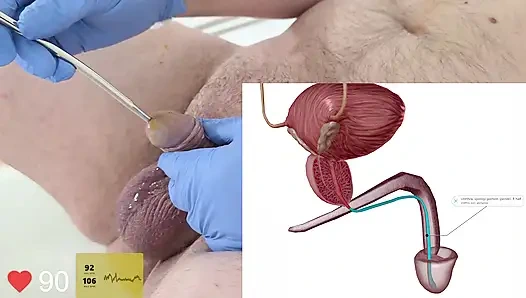 İkinci kez üretral ses çıkarmaya çalışıyor ve anatomiyi inceliyor