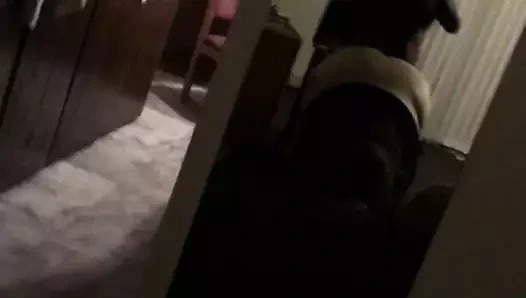 İyi iri güzel kadın amcık