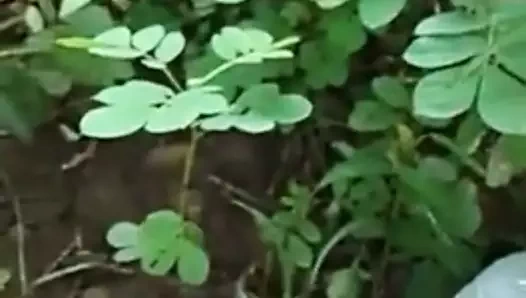 Marwadi teyze ko jangal beni chhoda