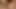 Güzel bayanlar ile vahşi D porno oyunu 18+ 2022
