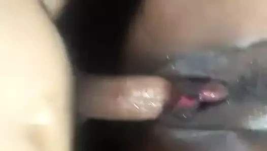 Siyah kedi yavaş kavurma beyaz horoz