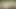 Yalnız kız Nika ve Regina Moonshine 4k'da yatakta sert mastürbasyon yaptı.