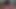 Enrrabando a giseletrans