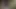 azgın fotoğrafçı yalama onu tatlı KEDİ