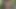 Dışarıda Da Kendini Seviştirmeye Izin Veriyor