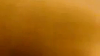 troia italiana inculata