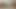 magali mora