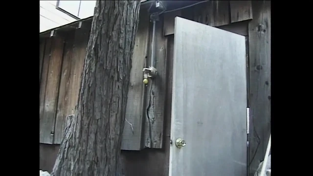 Southern belle baştan çıkarma sahnesi - bölüm 5