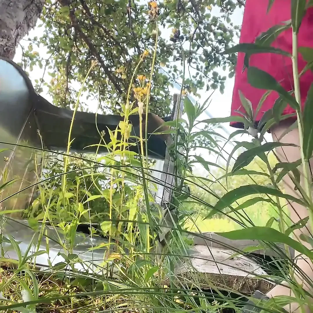 Watch Drop Water Pussy Sexy Feat Sweethanajapanese Canadian Pissing Outdoor Asian Solo Hd Porn (Uncut) - Austria Special