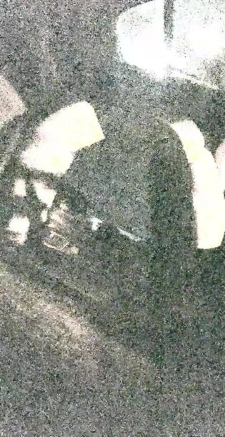 Arabada seks çifti 2