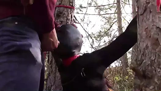 Ağaca bağlı, maskeli ve açık derin boğaz bağlı