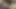 Ateşli ladyboy yarağını okşarken adam dildoyla götünü sikiyor