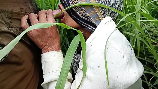 In the millet field, my elder sister-in-law sucked the cock and ass Mari opened the field of millet and killed my sister-in-law's ass