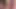 Piggy Rose büyük ayı ve lucipork ile xbiz miami'de yayın yapıyor
