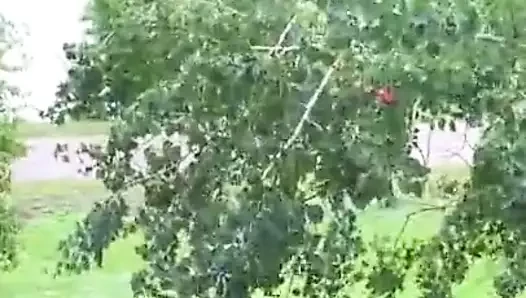 Velho tarado gozando em mim
