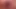 Clit