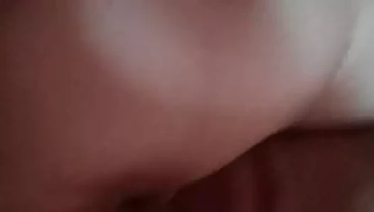 Yakın yukarı kahrolası onu kedi süre yayılıyor onu kıçını