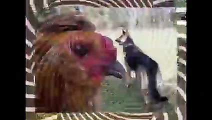 Tanrıça kadın kılıklı eğitmen 3