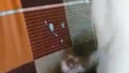 Belden bağlamalı 16