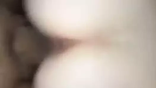sıkı kedi