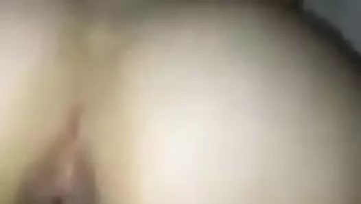 Yunan kolej kız köpek