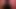 1001 Erotic Nights