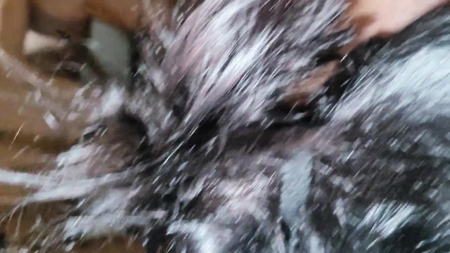 Üvey kız kardeş gırtlağına kadar sakso çekiyor, Mounth'ta boşalıyor