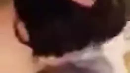 Sidney konumundan Basma