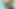 Büyük Hint testiler